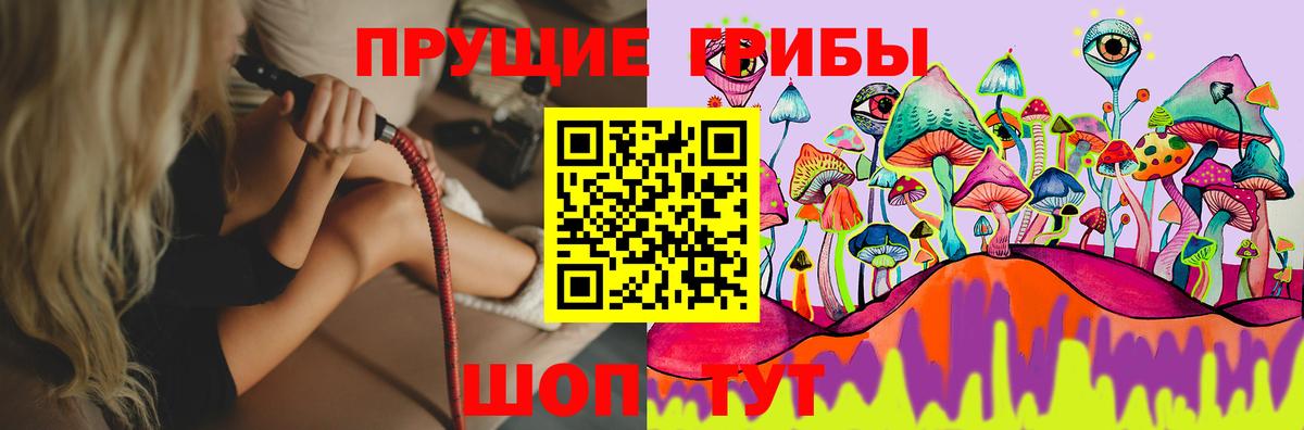 Псилоцибиновые грибы Magic Shrooms  Вход с VPN  Альметьевск  продажа наркотиков  Галлюциногенные грибы Cubensis 
