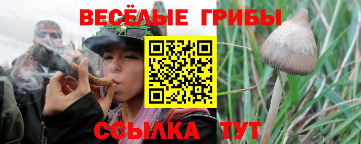 Галлюциногенные грибы прущие грибы Альметьевск